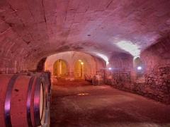 149 CHATEAU DE MONTREUIL BELLAY MAINE ET LOIRE 2016_000056